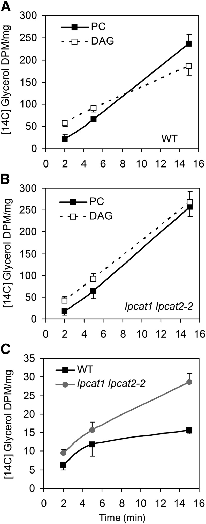 Figure 5.