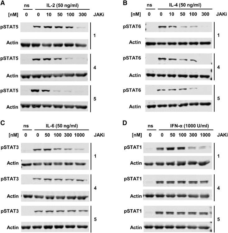 Figure 4