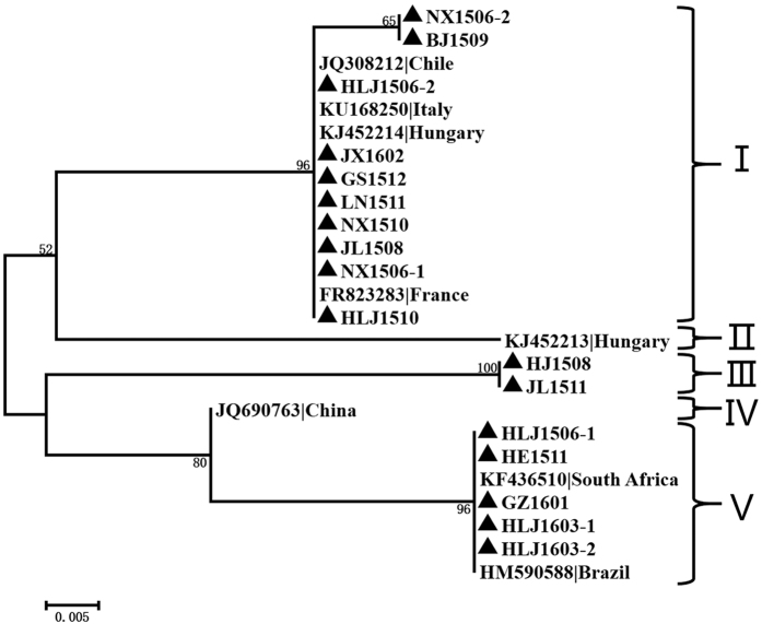 Figure 6