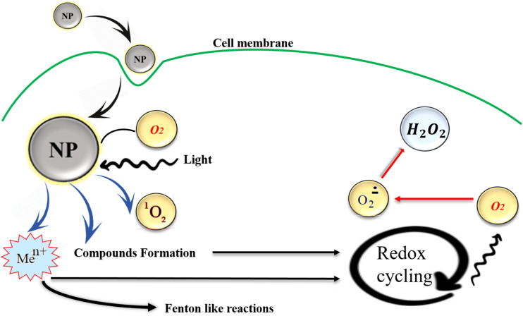 FIGURE 2