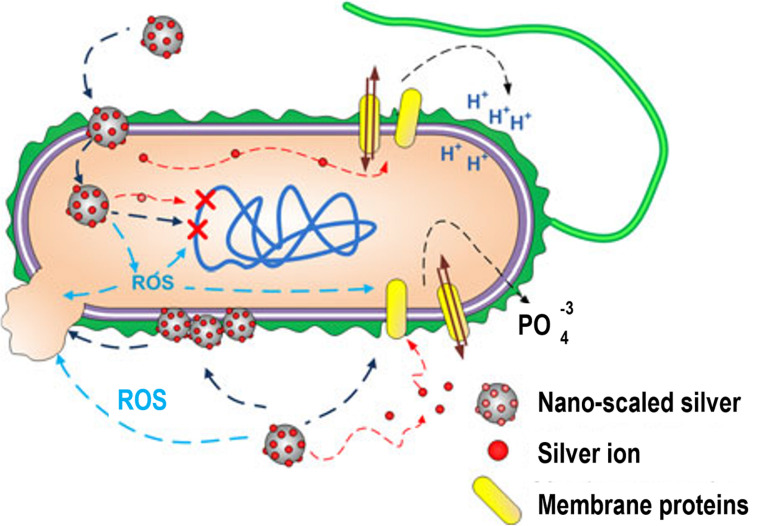 FIGURE 6