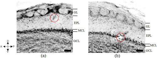 Fig. 7