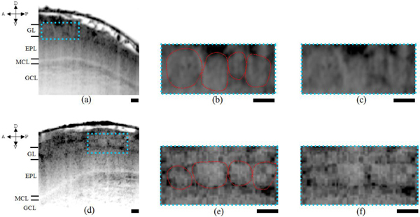 Fig. 5