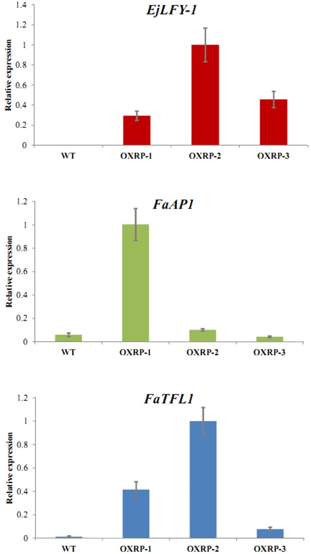 FIGURE 10