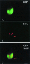 FIG. 8.