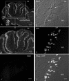 FIG. 9.