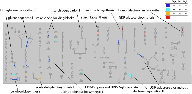 Figure 9