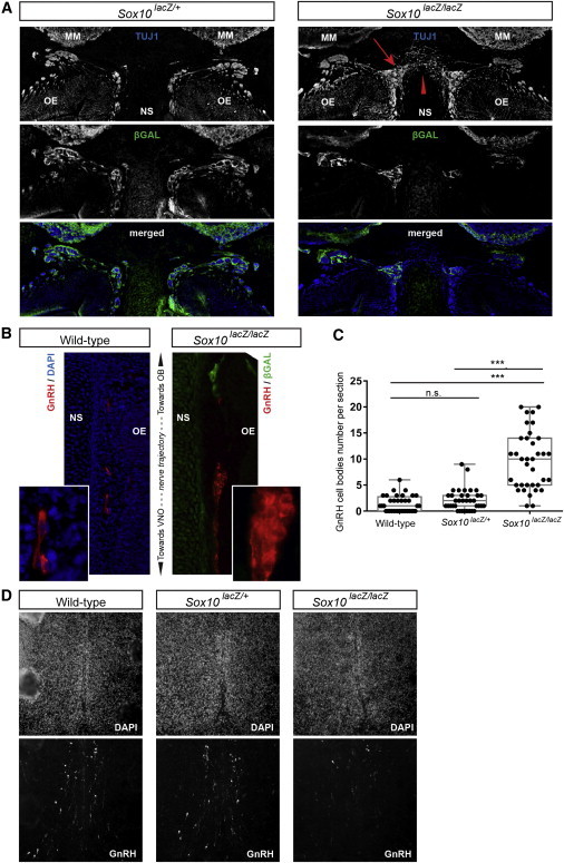 Figure 6