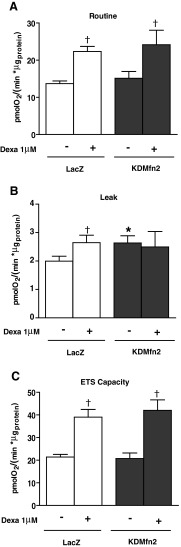 FIG. 8.