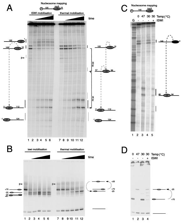 FIG. 5.