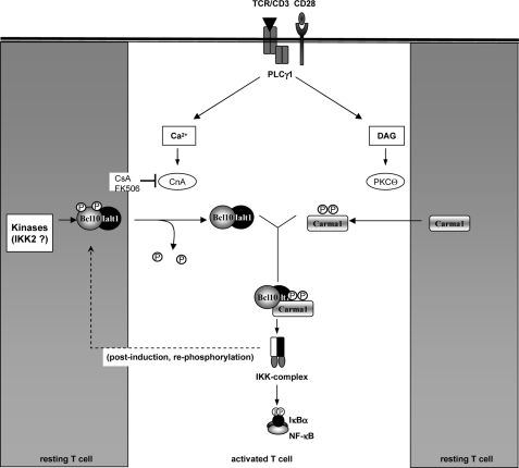 FIGURE 10.