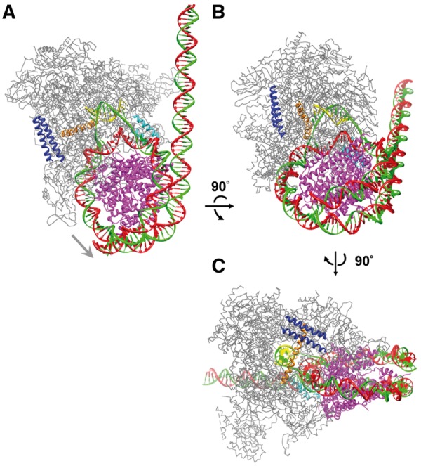 Figure 1.