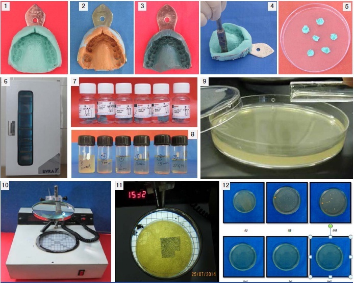 [Table/Fig-1-12]: