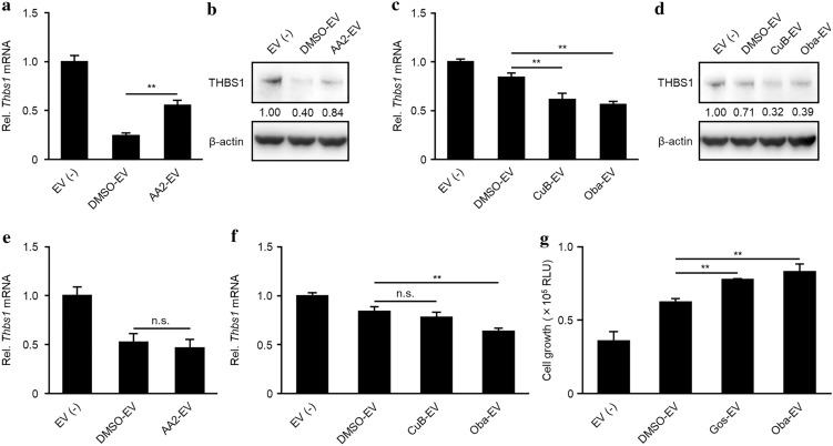 Figure 4﻿