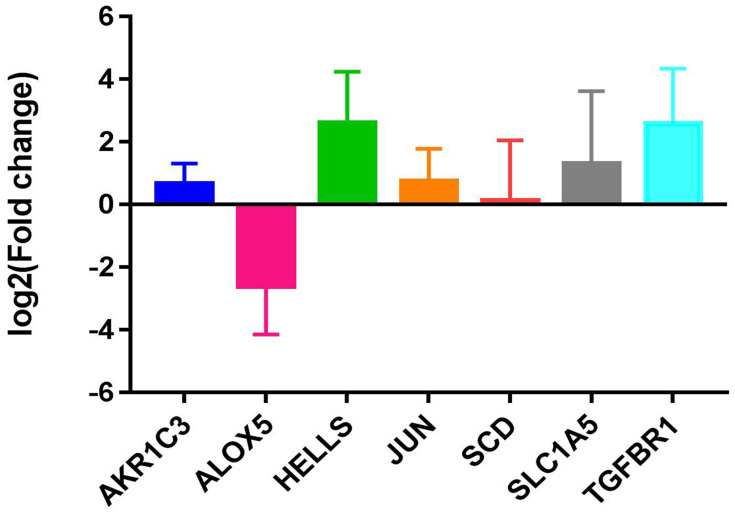 Figure 13