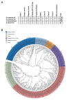 Figure 1.
<b>GPCRs of all three major schistosome species.</b>