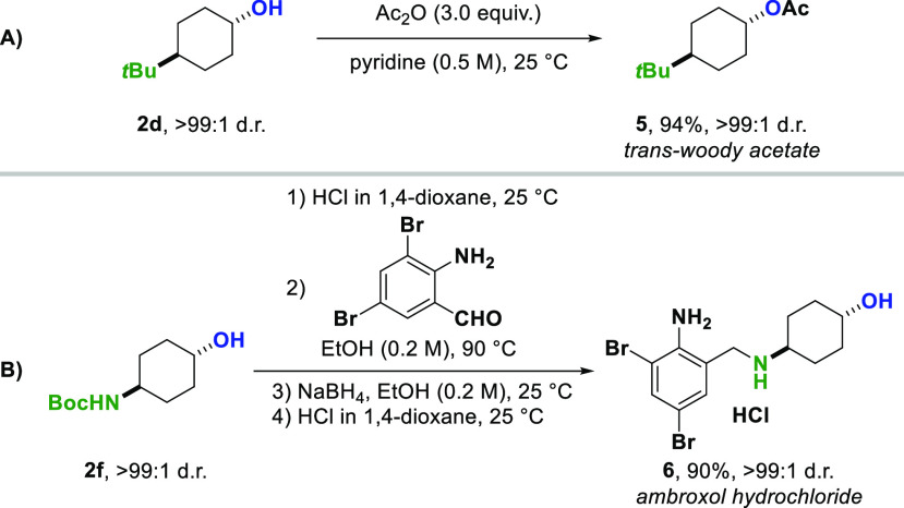 Scheme 6