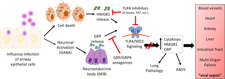 Figure 1