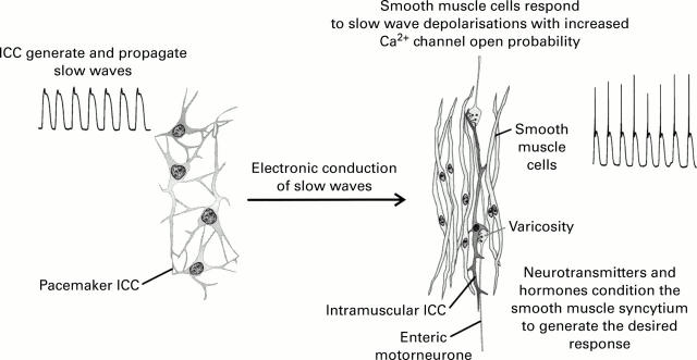 Figure 1  