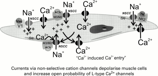 Figure 2  