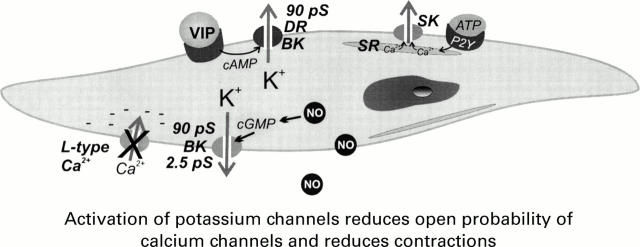 Figure 3  