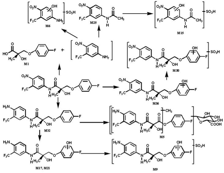 Fig. 8