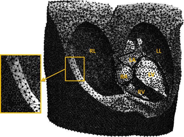 Fig. 1