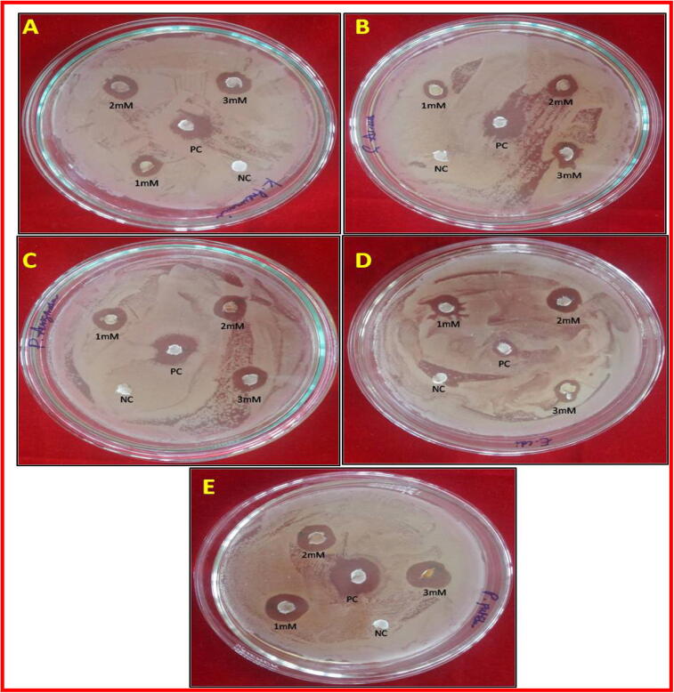 Fig. 10