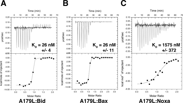 FIG 1