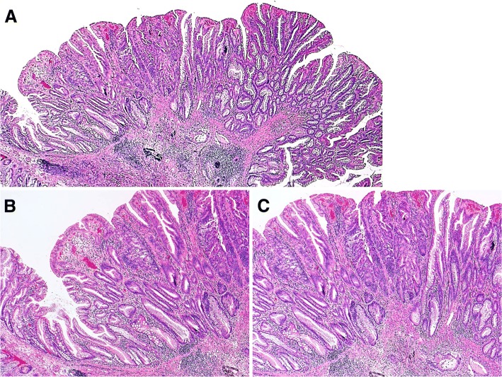 Fig. 1