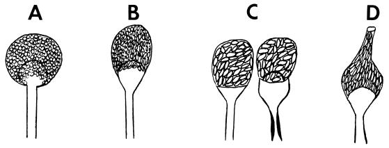 FIG. 7