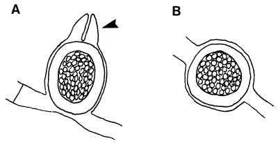FIG. 9