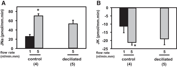 Fig. 9.