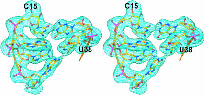 FIGURE 2.