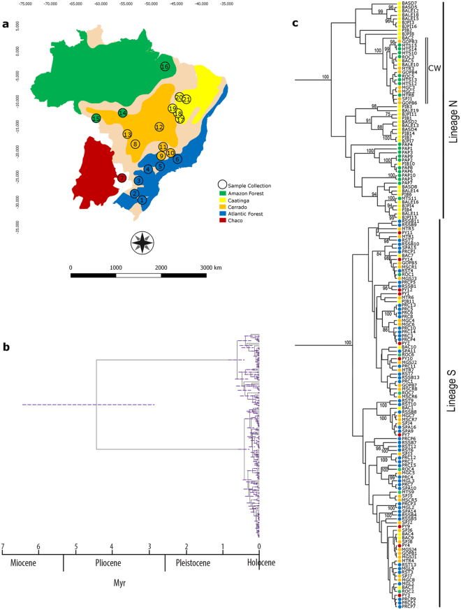 Figure 2