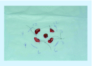 <b>Figure 3.</b>