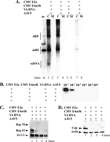 FIG. 1.