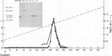 graphic file with name pnas00312-0176-a.jpg