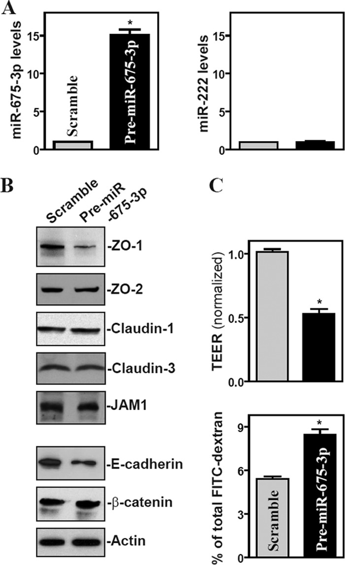 FIG 4