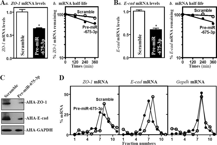 FIG 6