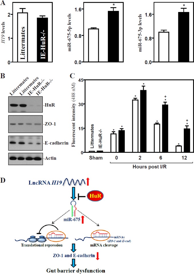 FIG 8