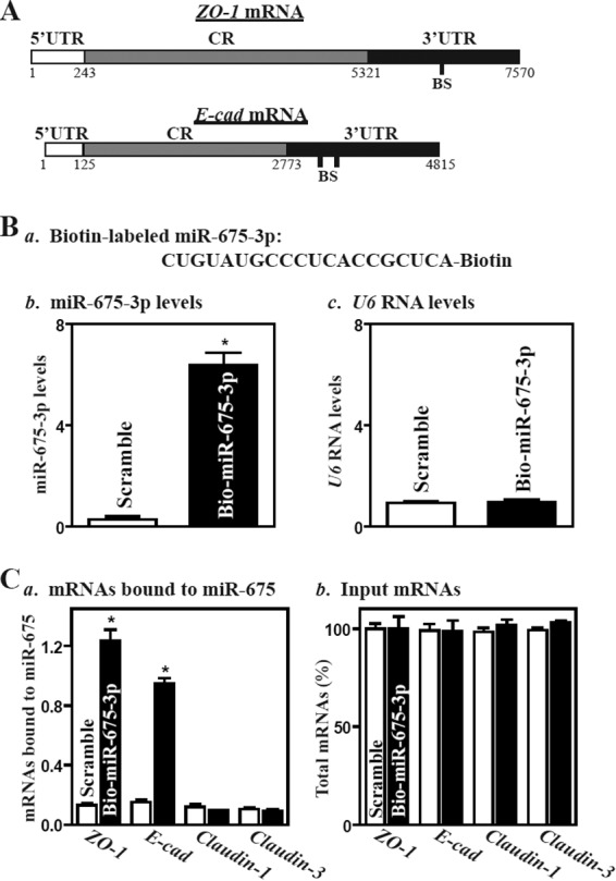 FIG 5