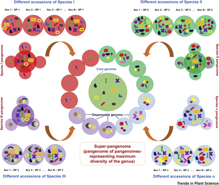 Figure 2