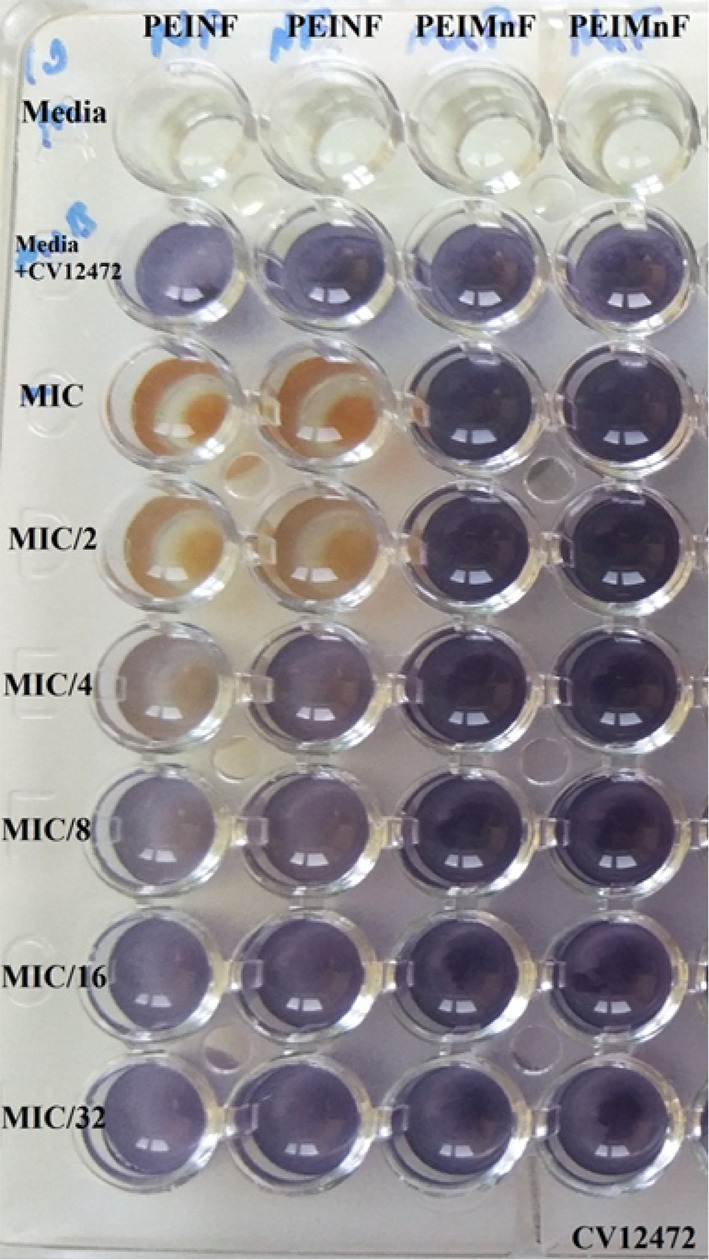 Fig. 7