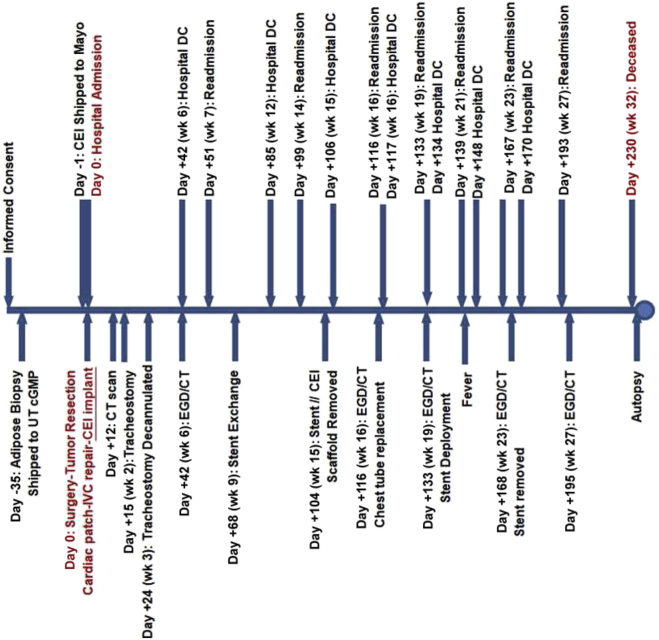 Figure 3