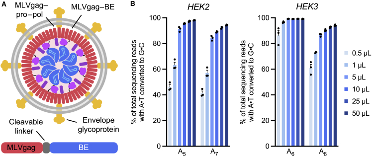 Figure 1