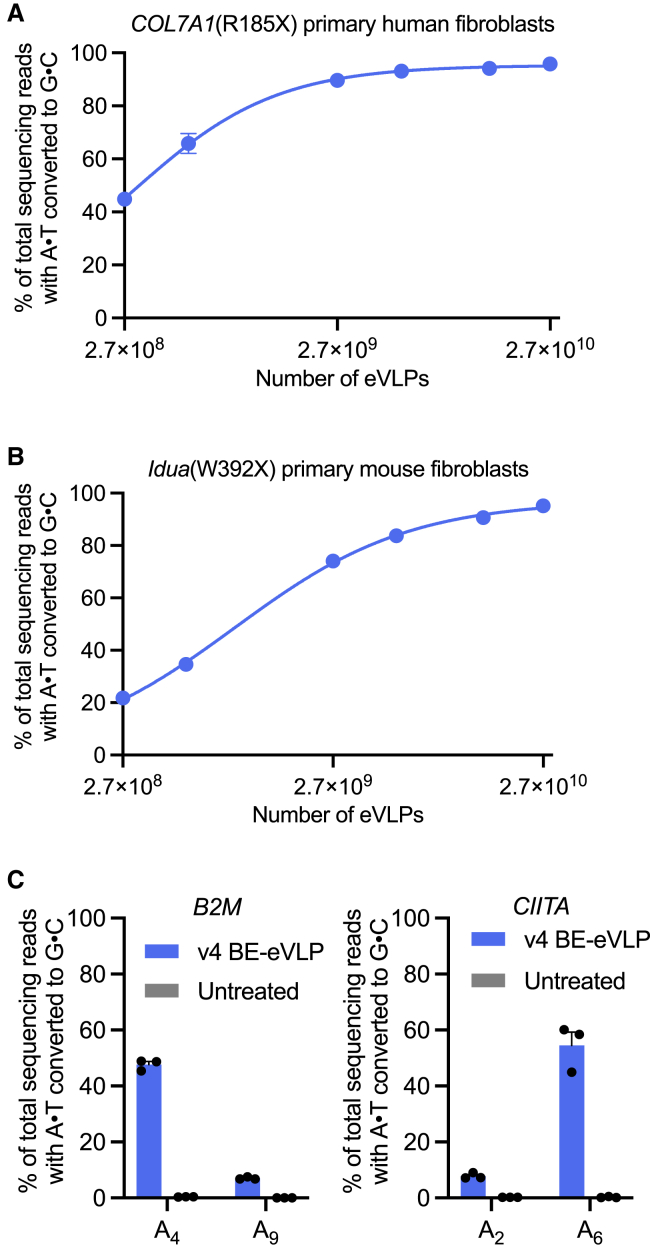Figure 4