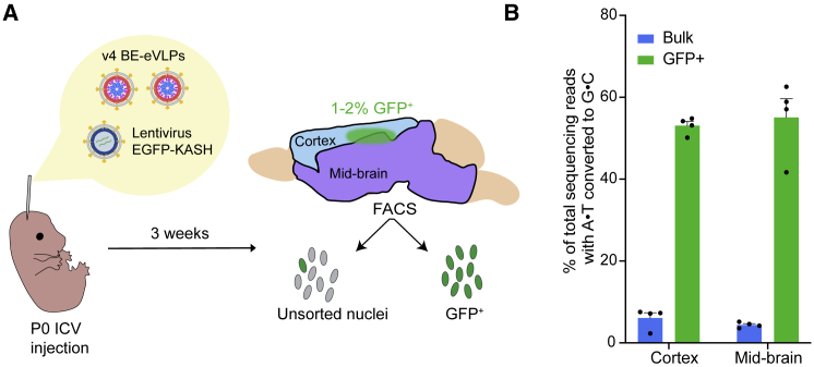 Figure 5