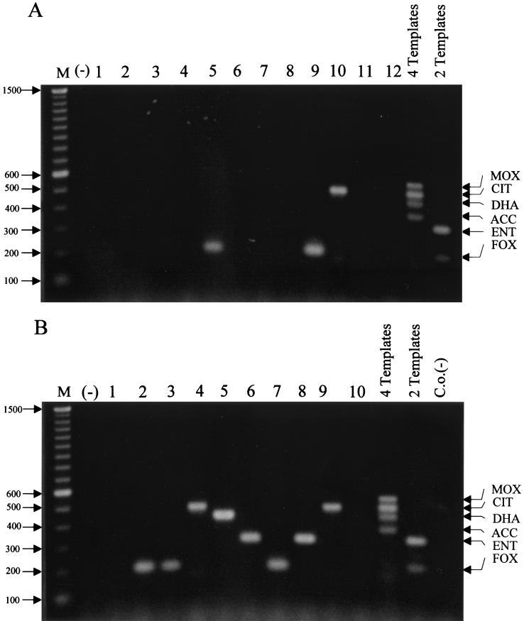 FIG. 5.