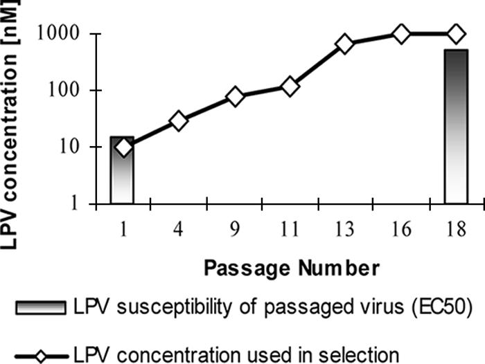 FIG. 2.